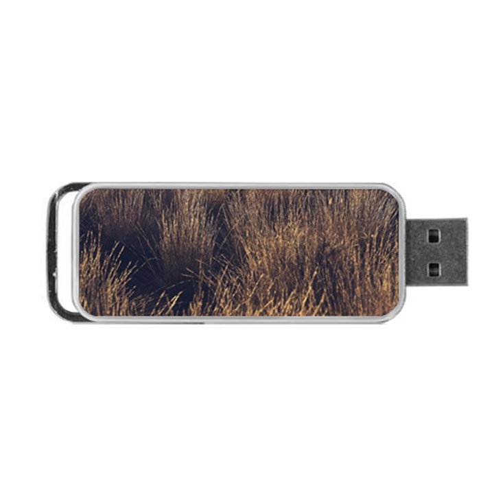 Field of light pattern 1 Portable USB Flash (Two Sides)