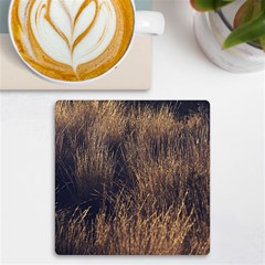 Field Of Light Pattern 1 Uv Print Square Tile Coaster  by DimitriosArt