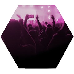 Music Concert Scene Wooden Puzzle Hexagon