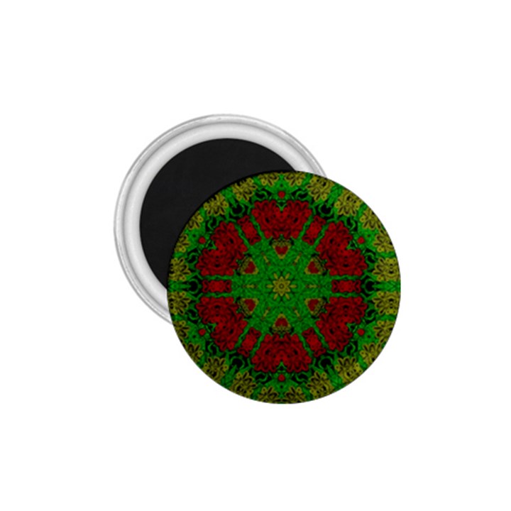 Peacock Lace So Tropical 1.75  Magnets