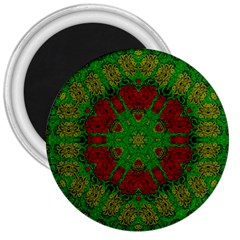 Peacock Lace So Tropical 3  Magnets by pepitasart