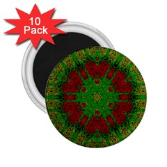 Peacock Lace So Tropical 2 25  Magnets (10 Pack)  by pepitasart