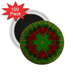 Peacock Lace So Tropical 2 25  Magnets (100 Pack)  by pepitasart