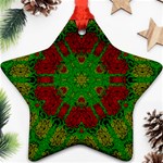 Peacock Lace So Tropical Star Ornament (Two Sides) Front