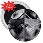 Oh, Bruce 3  Magnets (10 pack)  Front