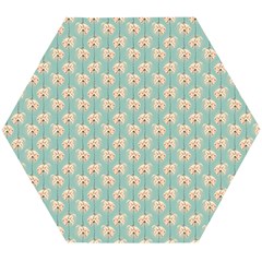 Fresh Scent Wooden Puzzle Hexagon by Sparkle