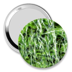 Green Desire 3  Handbag Mirrors by DimitriosArt