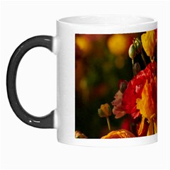 Vered-caspi-orlqbmy1om8-unsplash Morph Mugs