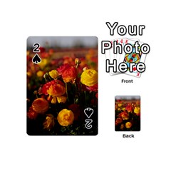 Vered-caspi-orlqbmy1om8-unsplash Playing Cards 54 Designs (mini)