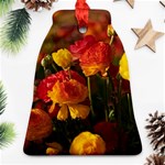 Vered-caspi-orlqbmy1om8-unsplash Bell Ornament (Two Sides) Back