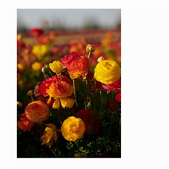 Vered-caspi-orlqbmy1om8-unsplash Large Garden Flag (two Sides) by jellybeansanddinosaurs