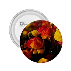 Vered-caspi-orlqbmy1om8-unsplash 2 25  Buttons