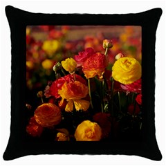 Vered-caspi-orlqbmy1om8-unsplash Throw Pillow Case (black)