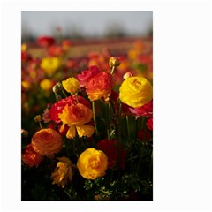 Vered-caspi-orlqbmy1om8-unsplash Small Garden Flag (two Sides)