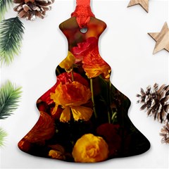 Vered-caspi-orlqbmy1om8-unsplash Ornament (christmas Tree)  by jellybeansanddinosaurs