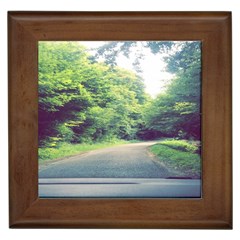 Photo Vue Sur Forêt  Framed Tile by kcreatif