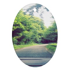 Photo Vue Sur Forêt  Ornament (oval) by kcreatif