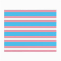 Trans Flag Stripes Small Glasses Cloth by WetdryvacsLair