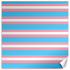 Trans Flag Stripes Canvas 16  X 16  by WetdryvacsLair