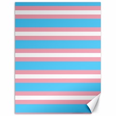 Trans Flag Stripes Canvas 18  X 24  by WetdryvacsLair