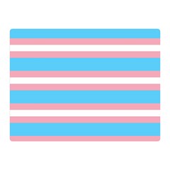 Trans Flag Stripes Double Sided Flano Blanket (mini)  by WetdryvacsLair