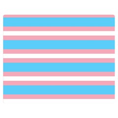 Trans Flag Stripes Double Sided Flano Blanket (medium)  by WetdryvacsLair