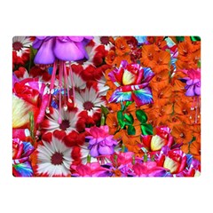 Backgrounderaser 20220425 173842383 Backgrounderaser 20220427 131956690 Double Sided Flano Blanket (mini)  by marthatravis1968