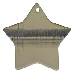 Grande Stream Landscape, Flores-soriano, Uruguay Ornament (star) by dflcprintsclothing