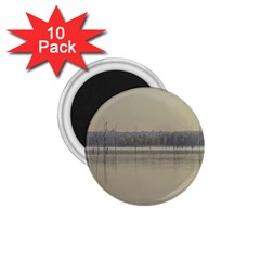 Grande Stream Landscape, Flores-soriano, Uruguay 1 75  Magnets (10 Pack) 