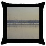 Grande Stream Landscape, Flores-soriano, Uruguay Throw Pillow Case (Black) Front