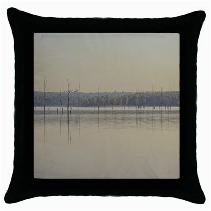 Grande Stream Landscape, Flores-soriano, Uruguay Throw Pillow Case (Black)