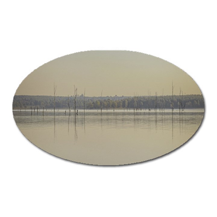 Grande Stream Landscape, Flores-soriano, Uruguay Oval Magnet