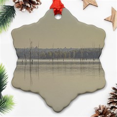 Grande Stream Landscape, Flores-soriano, Uruguay Ornament (snowflake) by dflcprintsclothing