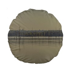 Grande Stream Landscape, Flores-soriano, Uruguay Standard 15  Premium Round Cushions by dflcprintsclothing