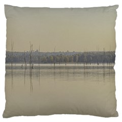 Grande Stream Landscape, Flores-soriano, Uruguay Large Flano Cushion Case (two Sides)