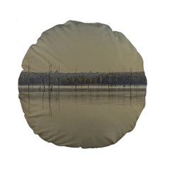 Grande Stream Landscape, Flores-soriano, Uruguay Standard 15  Premium Flano Round Cushions by dflcprintsclothing