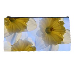 Triple Vision Pencil Case by thedaffodilstore