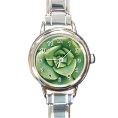 Echeveria Imbricata Closeup Photo Round Italian Charm Watch by dflcprintsclothing