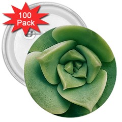 Echeveria Imbricata Closeup Photo 3  Buttons (100 Pack)  by dflcprintsclothing