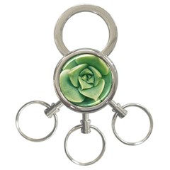 Echeveria Imbricata Closeup Photo 3-ring Key Chain by dflcprintsclothing