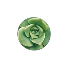 Echeveria Imbricata Closeup Photo Golf Ball Marker by dflcprintsclothing