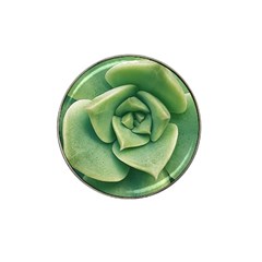 Echeveria Imbricata Closeup Photo Hat Clip Ball Marker by dflcprintsclothing