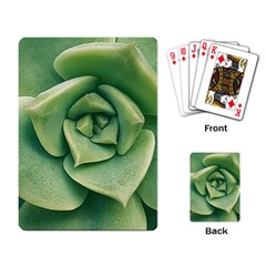 Echeveria Imbricata Closeup Photo Playing Cards Single Design (rectangle) by dflcprintsclothing