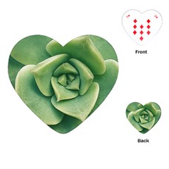 Echeveria Imbricata Closeup Photo Playing Cards Single Design (heart)