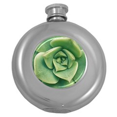 Echeveria Imbricata Closeup Photo Round Hip Flask (5 Oz) by dflcprintsclothing