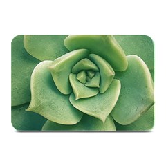 Echeveria Imbricata Closeup Photo Plate Mats by dflcprintsclothing