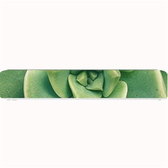 Echeveria Imbricata Closeup Photo Small Bar Mats by dflcprintsclothing