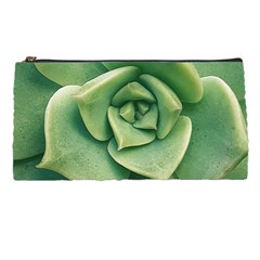 Echeveria Imbricata Closeup Photo Pencil Case by dflcprintsclothing