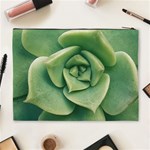 Echeveria Imbricata Closeup Photo Cosmetic Bag (XL) Back