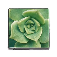 Echeveria Imbricata Closeup Photo Memory Card Reader (square 5 Slot)